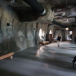 Visitorsway between Gorilla indoor and outdoor-enclosure