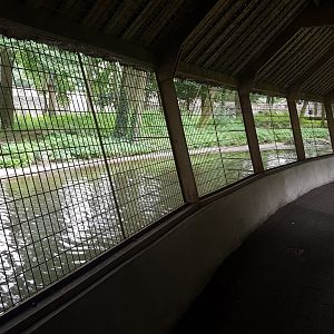 Path along Tiger-enclosure