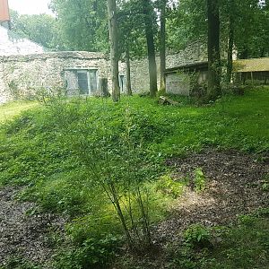 View into Tiger-enclosure