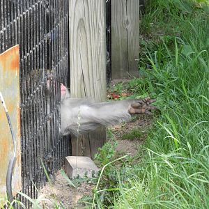 Just a little farther...