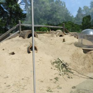 Black-Tailed Prairie Dog exhibit (New in 2017) - North American Plains - NEW Zoo