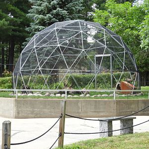 Red-Rumped Agouti exhibit (New in 2018) - International Trail - NEW Zoo