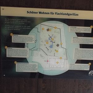 Plans of outdoor exhibit for Western Lowland Gorilla