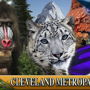 Zoo Tours Ep. 28: Primates, Cats & Aquatics