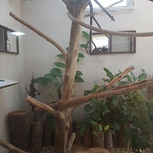 Emperor tamarin enclosure