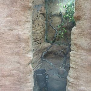 Insect Pavilion - Black Soldier Fly Exhibit