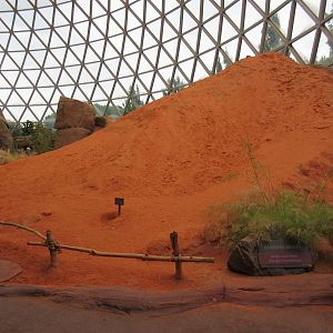Desert Dome