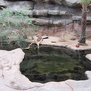 Desert Dome - no barriers to water