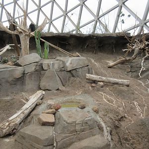 Desert Dome - Turkey Vulture Exhibit