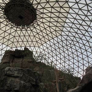 Desert Dome