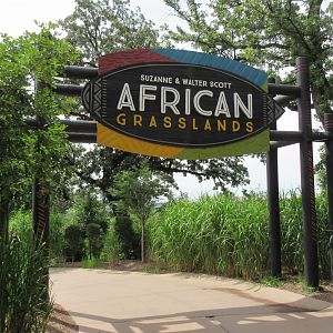African Grasslands - Grand Entrance!