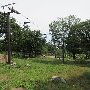 African Grasslands - Multi-Acre Giraffe/Impala/Ostrich/White Stork Savanna