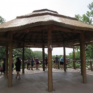 African Grasslands - Multi-Acre Giraffe/Impala/Ostrich/White Stork Savanna