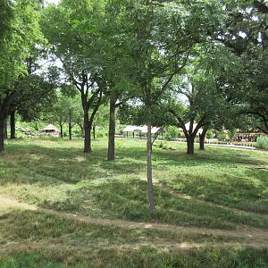 African Grasslands - Multi-Acre Giraffe/Impala/Ostrich/White Stork Savanna