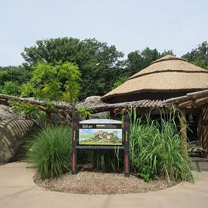 African Grasslands Kopje - Klipspringer/Meerkat Exhibit