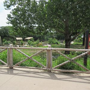 African Grasslands - Multi-Acre Giraffe/Impala/Ostrich/White Stork Savanna