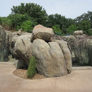 African Grasslands Kopje - Klipspringer/Meerkat Exhibit