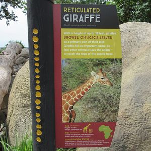 African Grasslands - Giraffe Sign