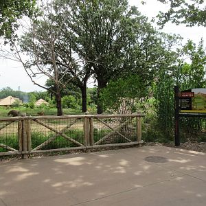 African Grasslands - Multi-Acre Giraffe/Impala/Ostrich/White Stork Savanna