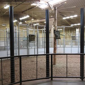 African Grasslands - Giraffe Barn