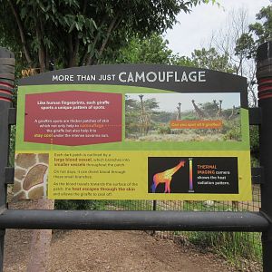 African Grasslands - Giraffe Sign