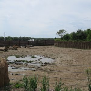 African Grasslands - Elephant Exhibit