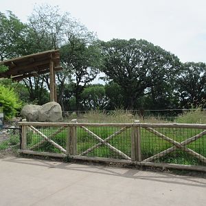 African Grasslands - Elephant Exhibit