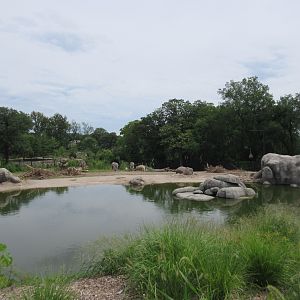 African Grasslands - Elephant Exhibit