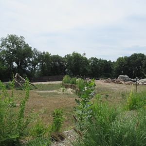 African Grasslands - Elephant Exhibit