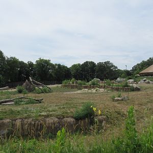 African Grasslands - Elephant Exhibit