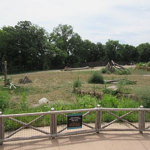 African Grasslands - Elephant Exhibit