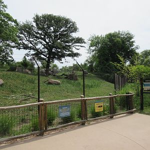 African Grasslands - Cheetah Exhibit