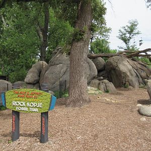 African Grasslands - Visitor Kopje Fossil Trail