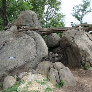 African Grasslands - Visitor Kopje Fossil Trail