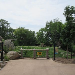 African Grasslands - Cheetah Exhibit