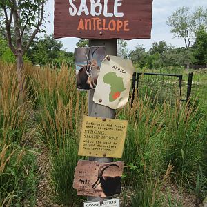 African Grasslands - Sable Antelope Sign (cool sign!)