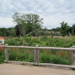 African Grasslands - Multi-Acre Sable Antelope Exhibit