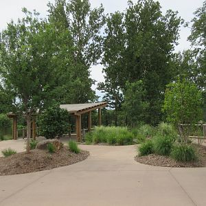 African Grasslands - Multi-Acre Bongo/Blue Crane Exhibit (Viewing Area)