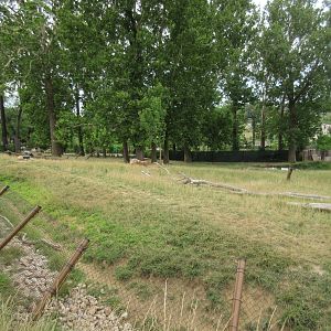 African Grasslands - Multi-Acre Bongo/Blue Crane Exhibit