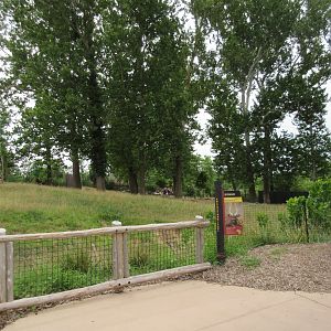 African Grasslands - Multi-Acre Bongo/Blue Crane Exhibit