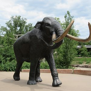 African Grasslands - Mammoth Plaza