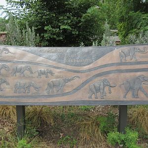 African Grasslands - Mammoth Plaza