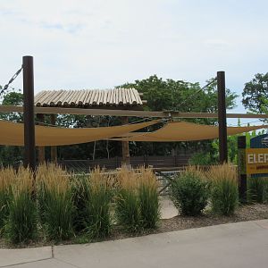 African Grasslands - Elephant Amphitheater