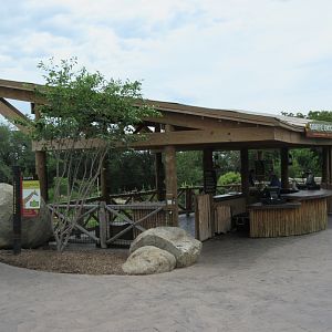 African Grasslands - Giraffe Feeding Platform