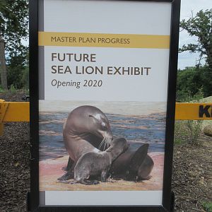 Future California Sea Lion Exhibit - 2020