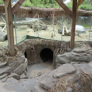 5-Acre Children's Adventure Trails - Prairie Dog Exhibit