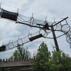 5-Acre Children's Adventure Trails - Squirrel Monkey Overhead Exhibit