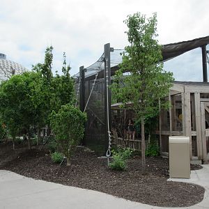 5-Acre Children's Adventure Trails - Lorikeet Aviary