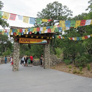 Asian Highlands: Phase One - Entrance