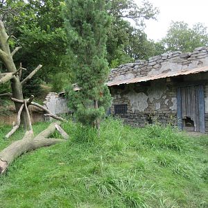 Asian Highlands: Phase One - Red Panda Exhibit